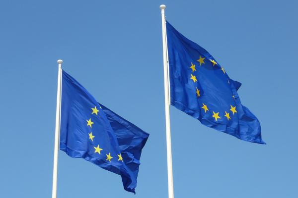 Olio d'oliva: l'UE lavora ad un nuovo quadro legislativo