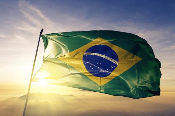 Mercato olio, Brasile: prospettive e opportunità molto incoraggianti