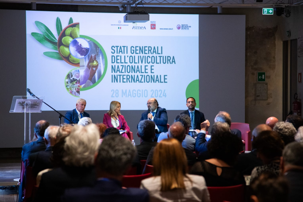 Stati Generali dell’Olivicoltura a Siena, Loiodice: Realizzare al più presto un Piano Olivicolo Nazionale